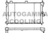 AUTOGAMMA 100669 Radiator, engine cooling